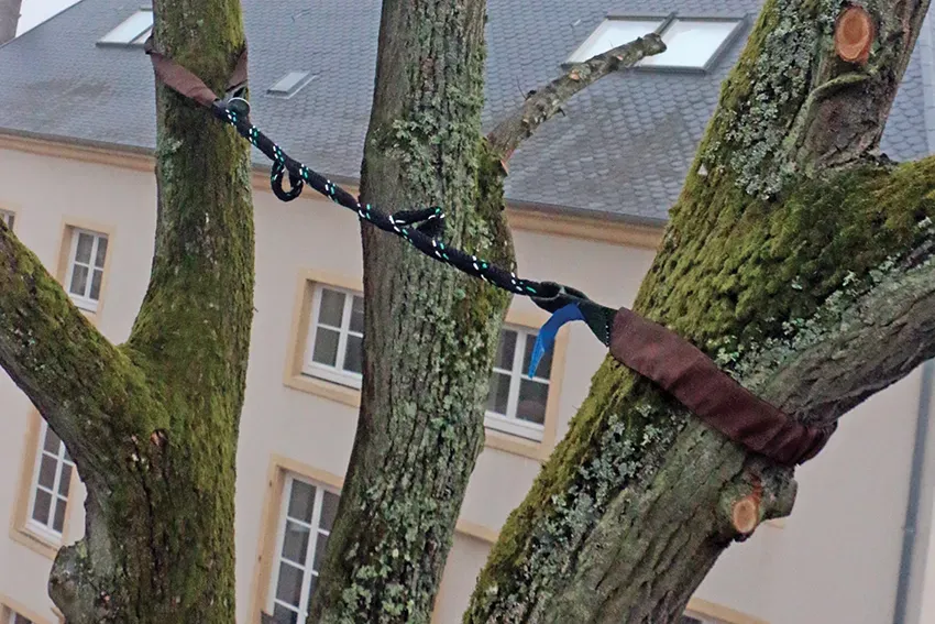 haubanage