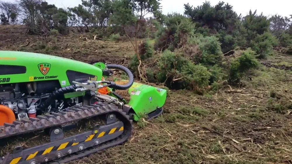 debroussaillage (3)